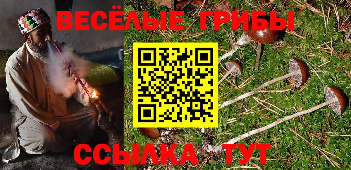 Псилоцибиновые грибы Cubensis Гусь-Хрустальный